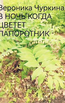 В ночь, когда цветёт папоротник.