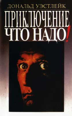 Приключение — что надо!