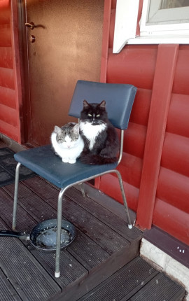 Севрова Юлия Валерьевна Кронштадт 2