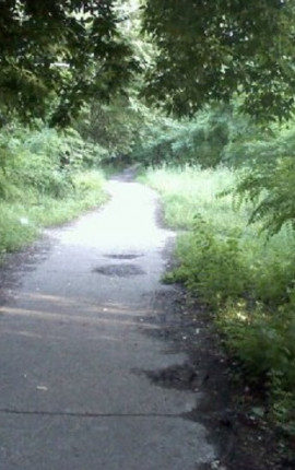 Иду на рекорд