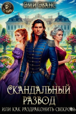 Скандальный развод или Как раздраконить свекровь