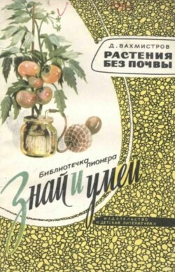 Растения без почвы