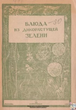 Блюда из дикорастущей зелени