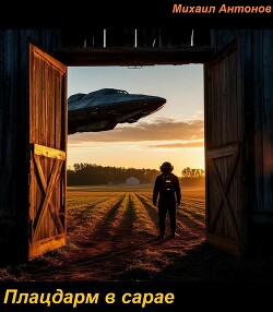 Плацдарм в сарае