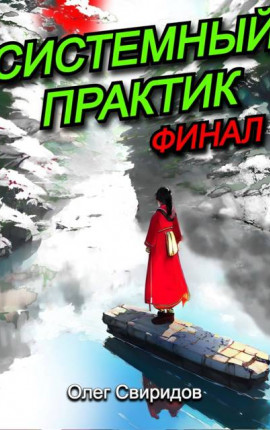 Системный практик. Финал