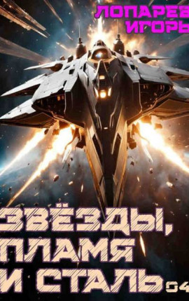 Звезды, пламя и сталь. Книга 4