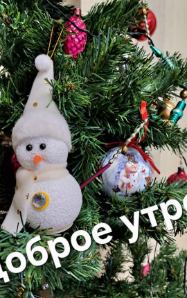 Севрова Юлия Валерьевна Кронштадт 