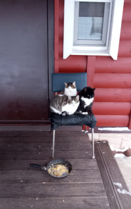 Легратбойамп