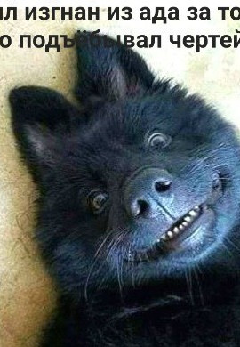 Гребибля Гребубля 