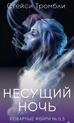 Несущий Ночь