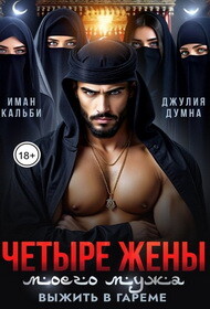Четыре жены моего мужа. Выжить в гареме