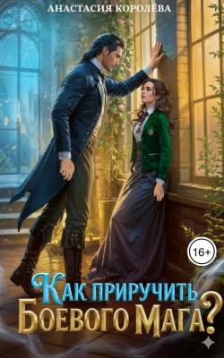 Как приручить боевого мага?