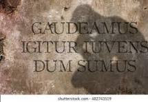 Модус Гаудеамус 2