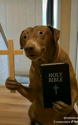 Отпускаю грехи 