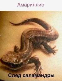 След Саламандры (СИ)