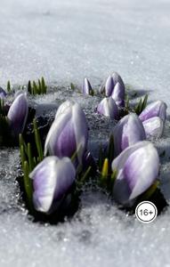 Русский романс