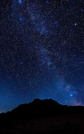 Странный гуманитарий