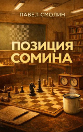 Позиция Сомина