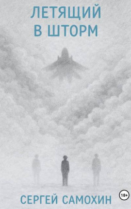 Летящий в шторм