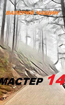 Мастер 14