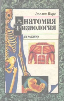 Анатомия и физиология для медсестёр