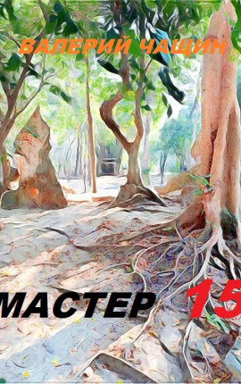 Мастер 15