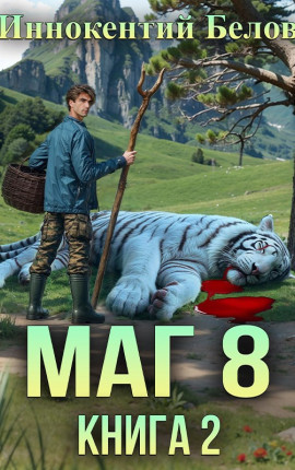 Маг 8. Книга 2