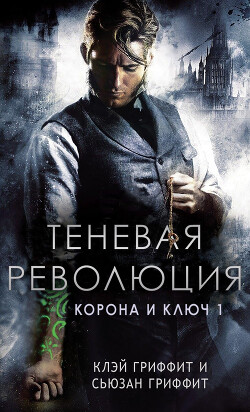 Теневая революция