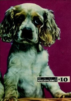 Юный натуралист 1971 №10