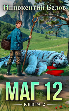 Маг 12. Книга 2