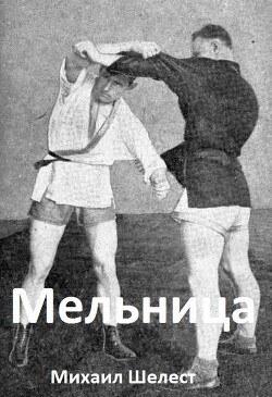 Мельница 3