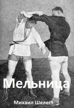 Мельница 4
