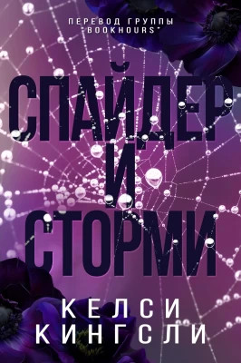 Спайдер и Сторми