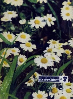 Юный натуралист 1970 №07
