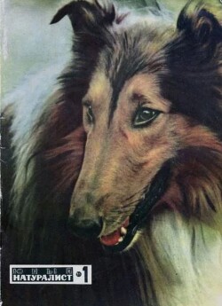 Юный натуралист 1970 №01