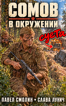 Сомов. В окружении.