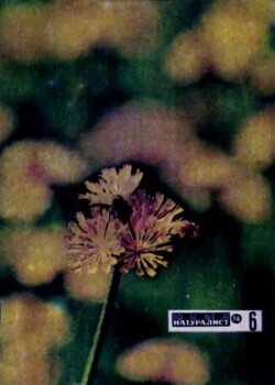 Журнал «Юный натуралист», 1974 №06