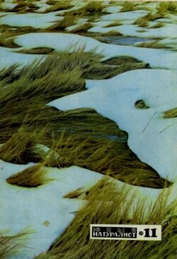 Журнал «Юный натуралист», 1970 №11