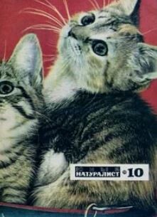 Журнал «Юный натуралист», 1970 №10