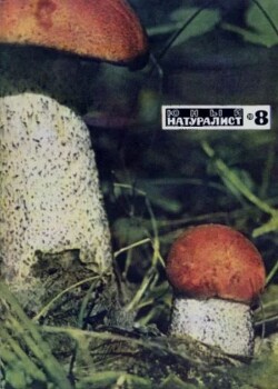 Журнал «Юный натуралист», 1970 №08