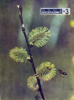 Журнал «Юный натуралист», 1970 №03