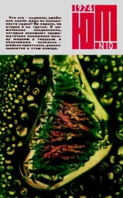 Юный техник 1974 №10