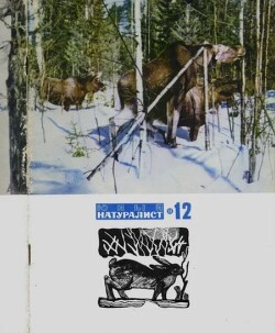 Журнал «Юный натуралист», 1968 №12