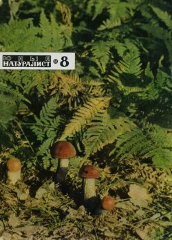Журнал «Юный натуралист», 1968 №08