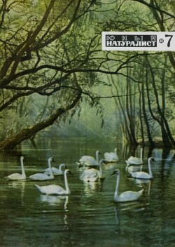 Журнал «Юный натуралист», 1968 №07