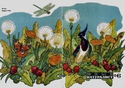 Журнал «Юный натуралист», 1968 №06