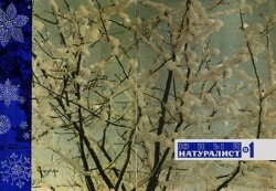 Журнал «Юный натуралист», 1968 №01
