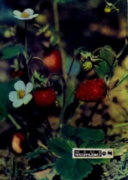 Журнал «Юный натуралист», 1972 №08