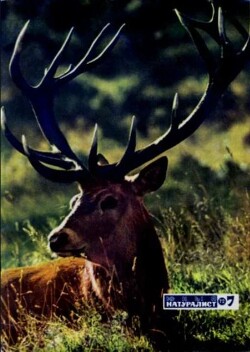 Журнал «Юный натуралист», 1972 №07