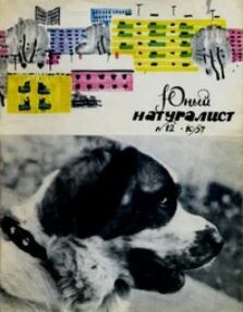 Журнал «Юный натуралист», 1967 №12